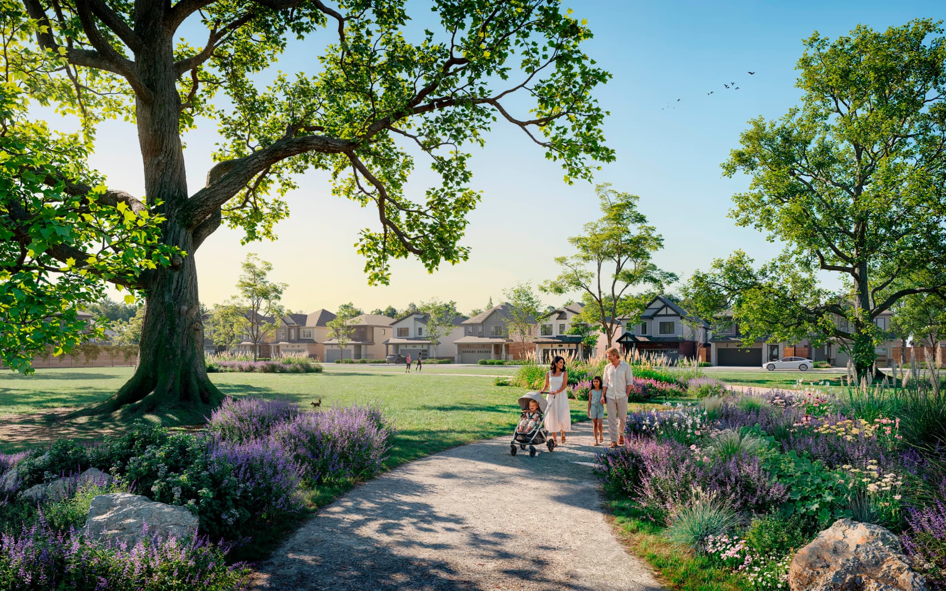 Creekstone single-family homes overlooking the community park in Courtice