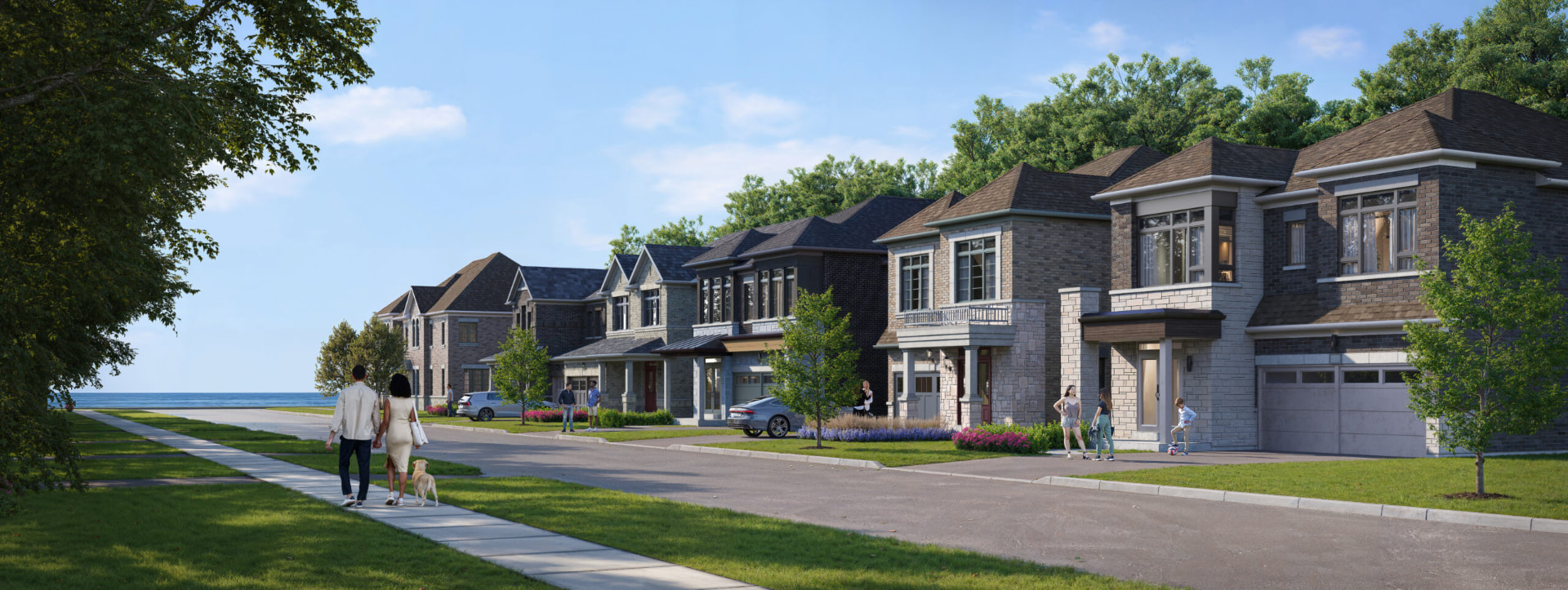 Detached Streetscape by the Lake elevation, Park & Lake